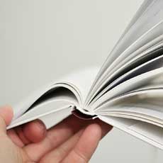 智能问题诊断的简单轰炸机